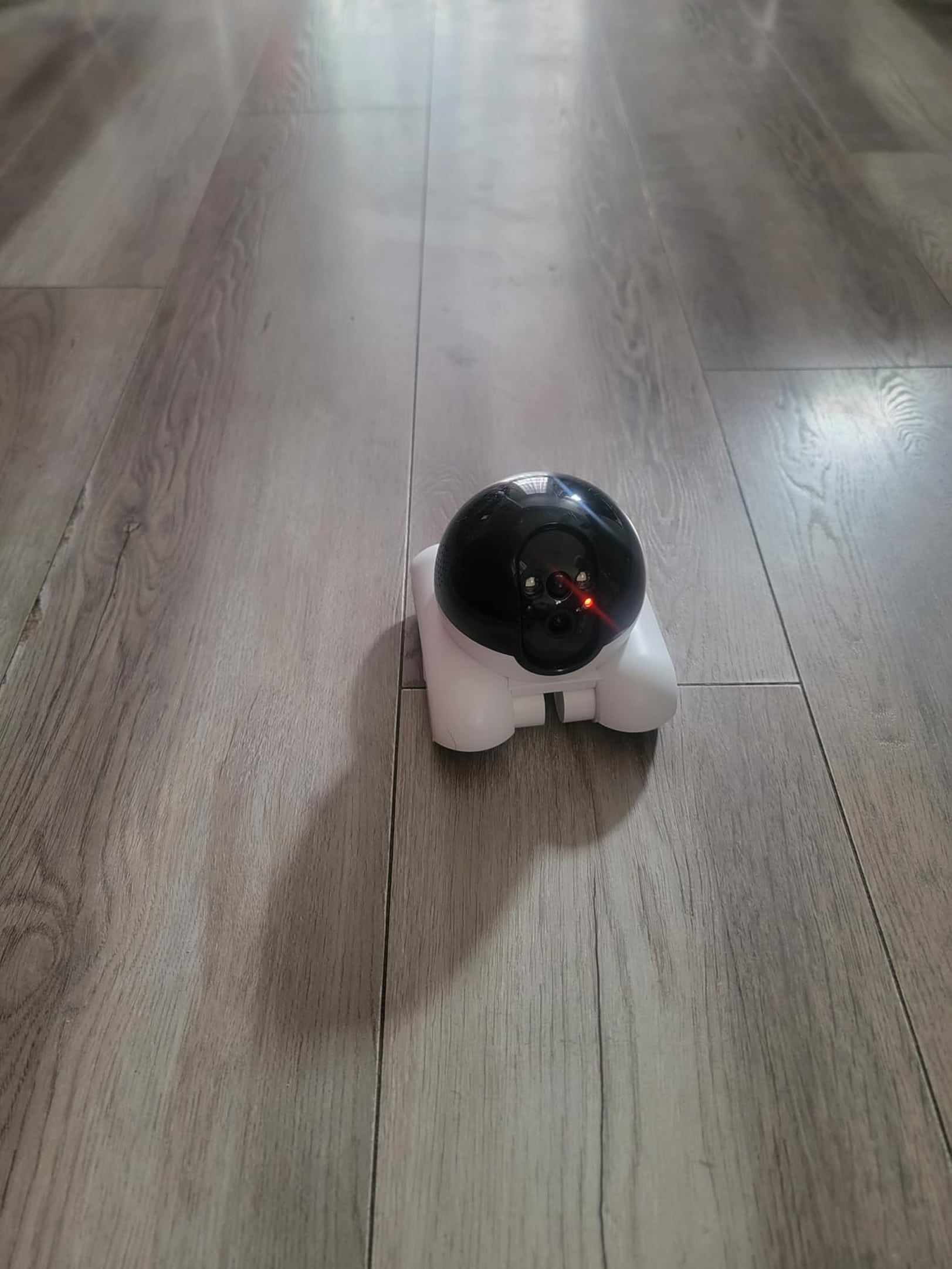 hubbibot-img-20