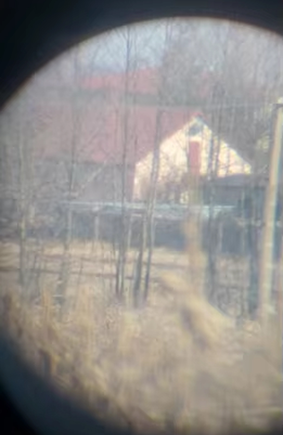 sco-pitix-img-28