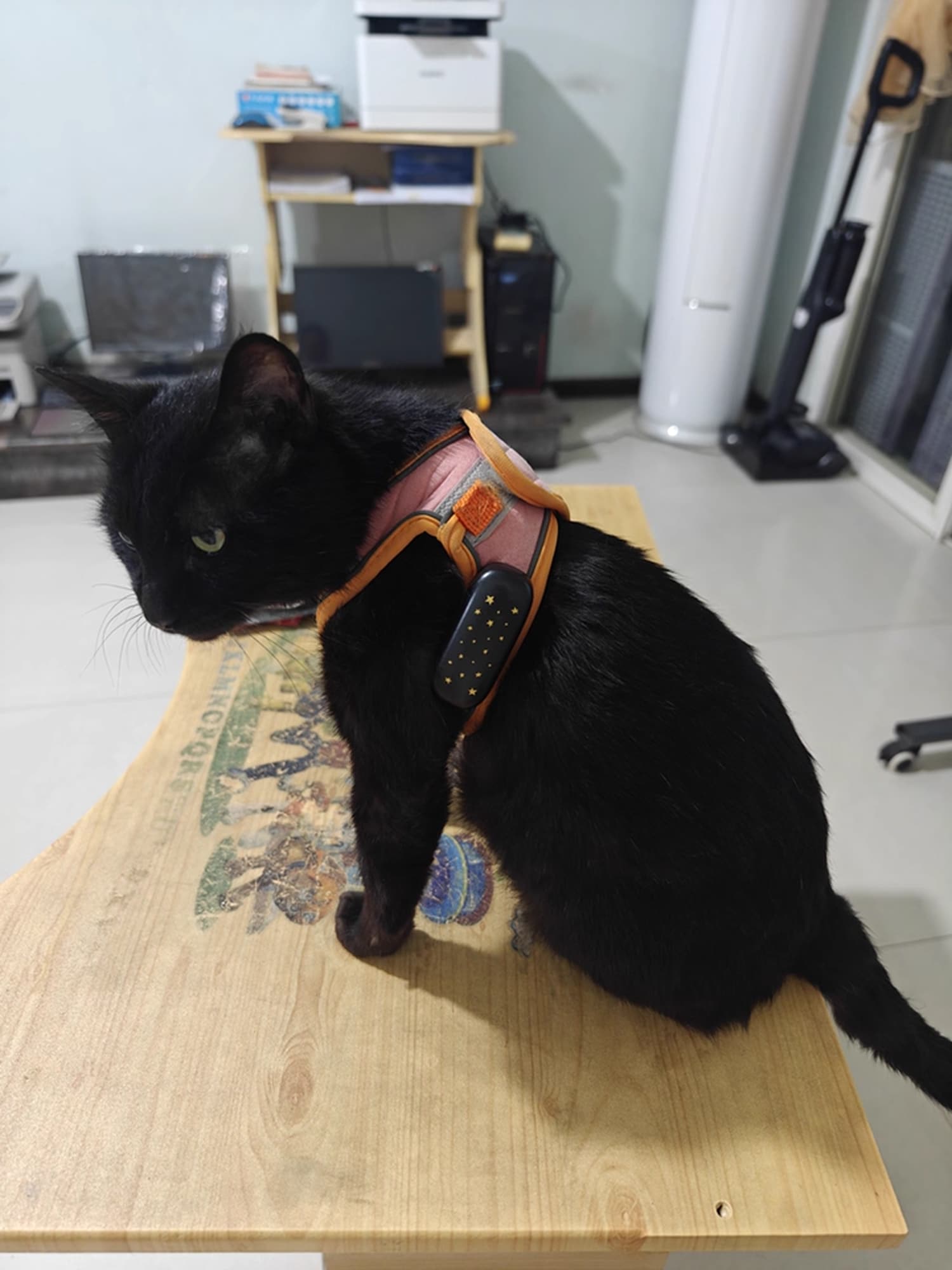 meow-deria-img-30